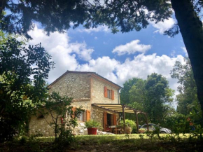 Cottage Barbara with aircon, beautiful sea view by ToscanaTour
